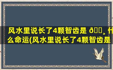 风水里说长了4颗智齿是 🌸 什么命运(风水里说长了4颗智齿是什么命运知乎)